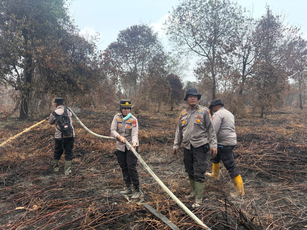 Bareskrim Catat 167 Perkara Karhutla, Jumlah Tersangka Bertambah Jadi 112 Orang