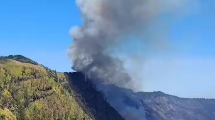 Empat Petugas Gugur Saat Padamkan Kebakaran Hutan di Bromo, Keselamatan Tim Jadi Sorotan