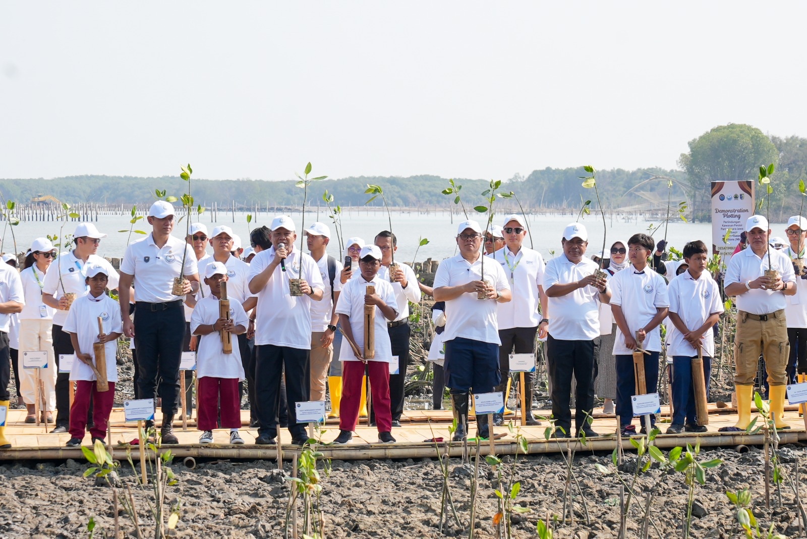 BRI Peduli Tanam 30 Ribu Mangrove, Sampah Daur Ulang Disulap Jadi Pemecah Ombak