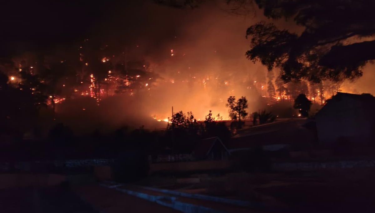 Greenpeace Soroti Denda Karhutla Rp18,9 Triliun, Baru Rp78 Miliar yang Masuk Kas Negara